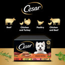 Cesar ClassicTerrine Dog Food https://m.media-amazon.com/images/I/61oCpPBI19L._AC_SL1500_.jpgWet - Mixed Selection in Jelly, 8x150g (Pack of 3)