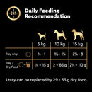 Cesar ClassicTerrine Dog Food Wet - Mixed Selection in Jelly, 8x150g (Pack of 3)