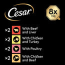 Cesar ClassicTerrine Dog Food https://m.media-amazon.com/images/I/61oCpPBI19L._AC_SL1500_.jpgWet - Mixed Selection in Jelly, 8x150g (Pack of 3)