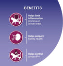 PURINA ONE Urinary Health Chicken Dry Cat Food 750g (Pack of 4)