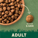 Harringtons Complete Dry Adult Dog Food Salmon & Potato 12kg - Made with All Natural Ingredients