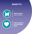 PURINA ONE Senior 7+ Mini Fillets Salmon & Ocean Fish Wet Cat Food 8x85g (Pack of 5)