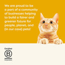 Applaws 100% Natural Wet Cat Food, Chicken Breast in Broth 70 g Tin, 24 x 70 g Tins