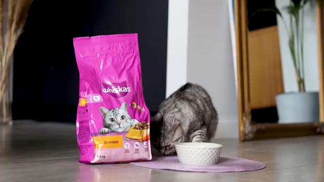 Whiskas 1+ Adult Dry Cat Food | Chicken Flavor | 7kg Bulk Bag