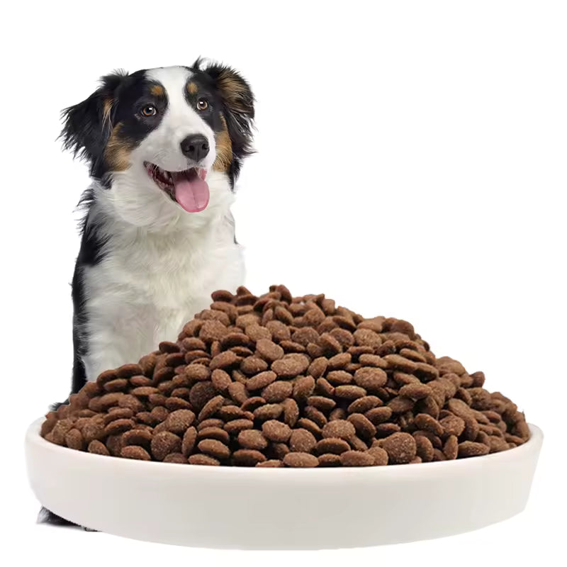 Dog food