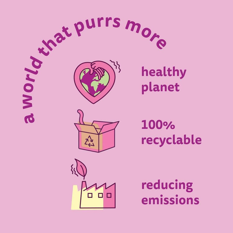 whiskas Junior Poultry Selection in Jelly 84 Pouches, Wet Kitten and Cat Food, Selection of Chicken, Duck, Poultry and Turkey, Megapack (84 x 85 g)