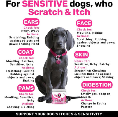 NutriPaw All-Itch Immunity Treats For Dogs - Soothe Itchy Paws, Eyes, Ears, Skin - Stop Itching, Licking, Scratching - Perfect for Small, Medium & Large Dogs - Supports Seasonal Itching