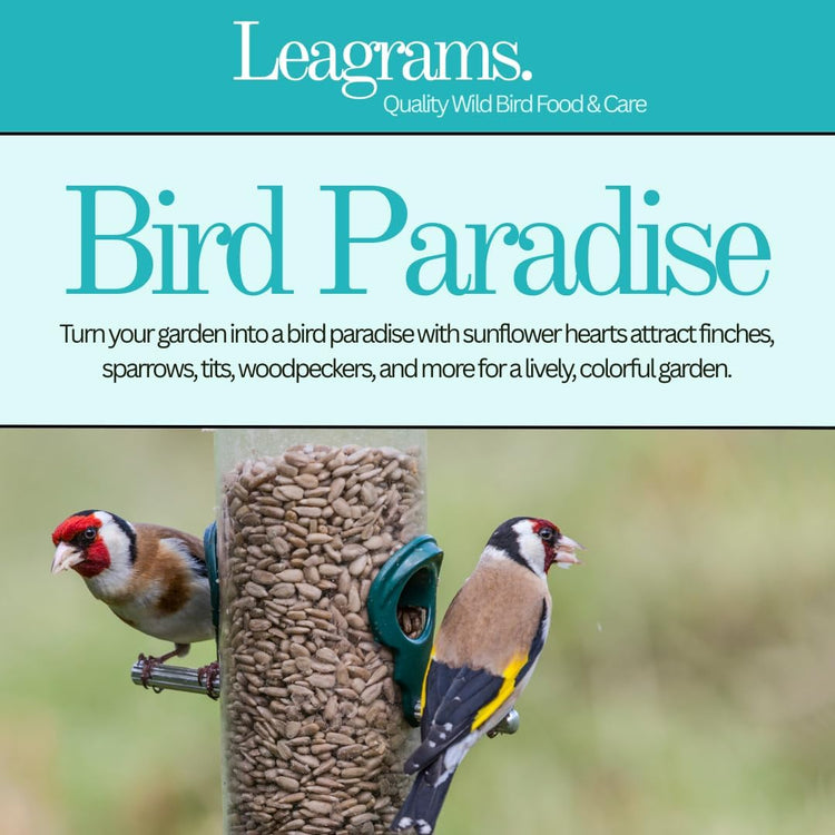 Leagrams Premium Sunflower Hearts (Sunflower Kernels) for Wild Birds – No Mess, High Oil, Bakery Grade High-Energy Feed (20kg) Bag