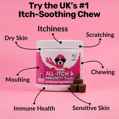 NutriPaw All-Itch Immunity Treats For Dogs - Soothe Itchy Paws, Eyes, Ears, Skin - Stop Itching, Licking, Scratching - Perfect for Small, Medium & Large Dogs - Supports Seasonal Itching