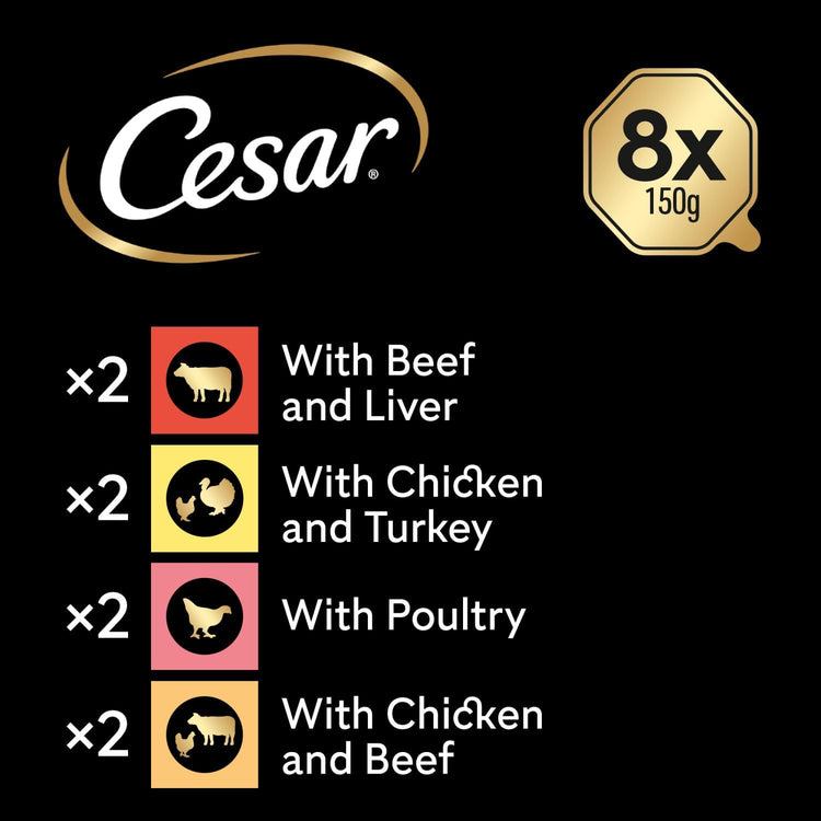 Cesar ClassicTerrine Dog Food https://m.media-amazon.com/images/I/61oCpPBI19L._AC_SL1500_.jpgWet - Mixed Selection in Jelly, 8x150g (Pack of 3)