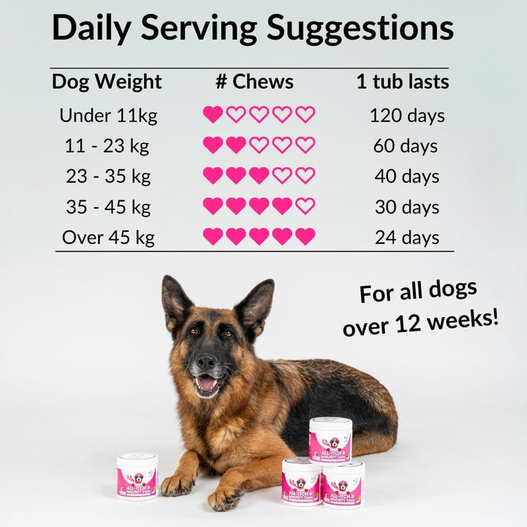 NutriPaw All-Itch Immunity Treats For Dogs - Soothe Itchy Paws, Eyes, Ears, Skin - Stop Itching, Licking, Scratching - Perfect for Small, Medium & Large Dogs - Supports Seasonal Itching