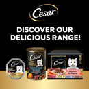 Cesar ClassicTerrine Dog Food https://m.media-amazon.com/images/I/61oCpPBI19L._AC_SL1500_.jpgWet - Mixed Selection in Jelly, 8x150g (Pack of 3)
