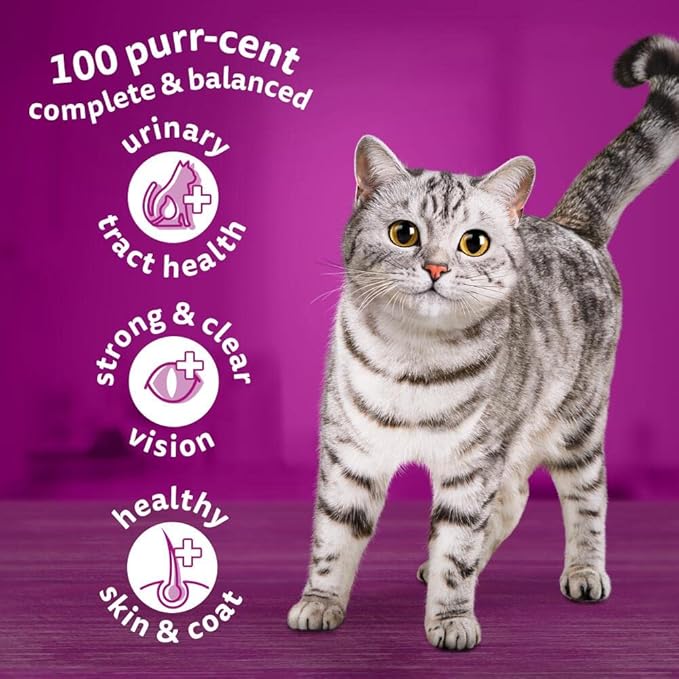 Whiskas 1+ Adult Dry Cat Food | Chicken Flavor | 7kg Bulk Bag