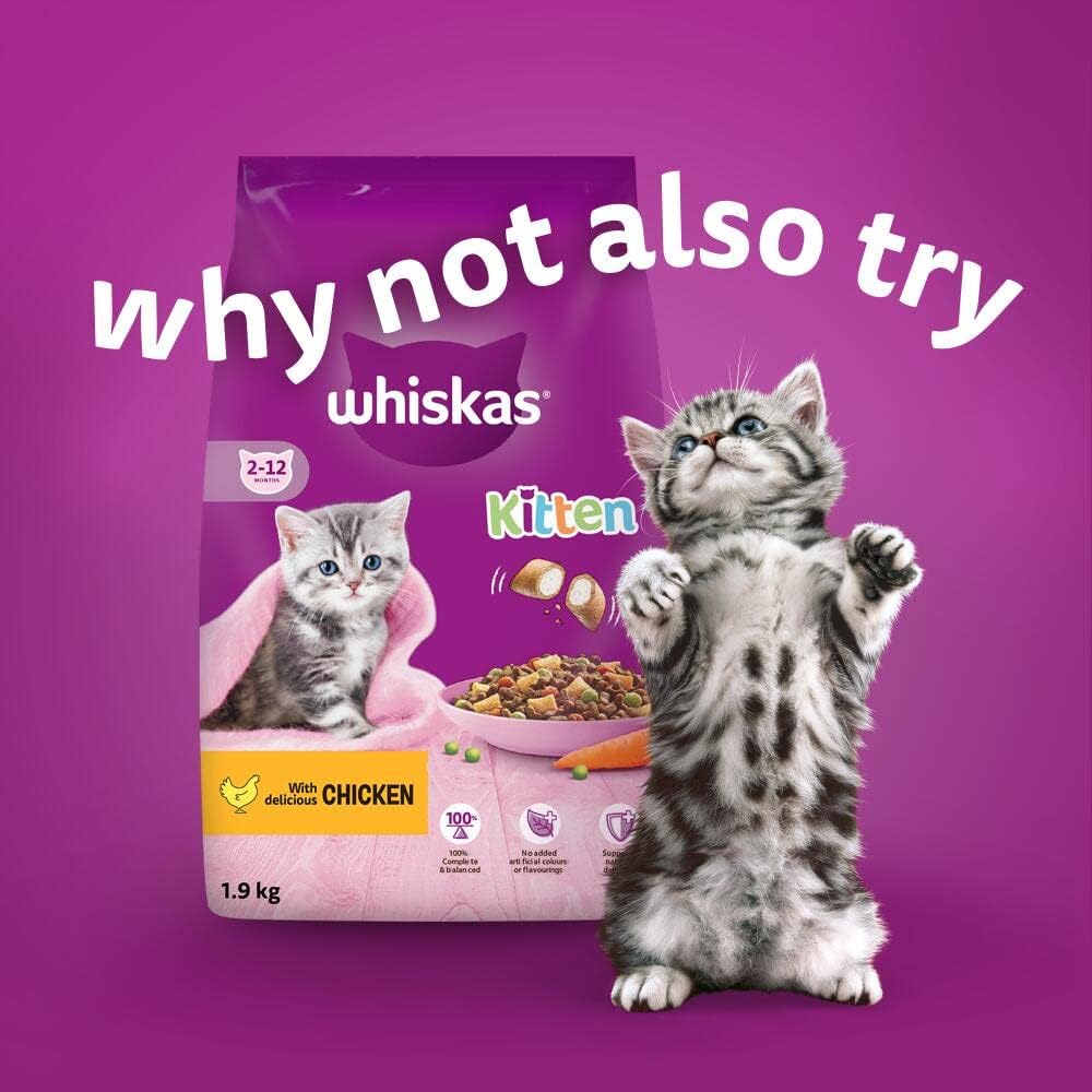 Whiskas Junior Poultry Selection in Jelly | 48 x 85g Megapack (Pack of 4 x 12)
