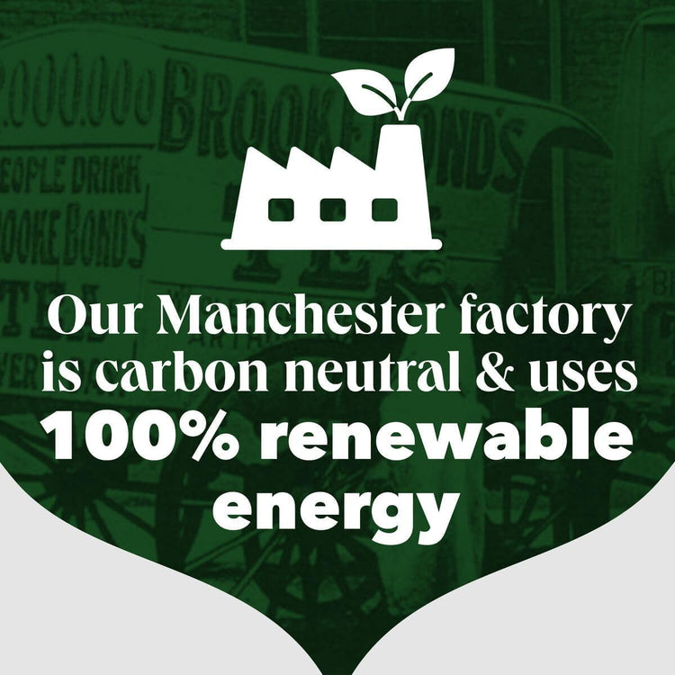 PG Tips Catering One Cup Tea Bags - 2x1100