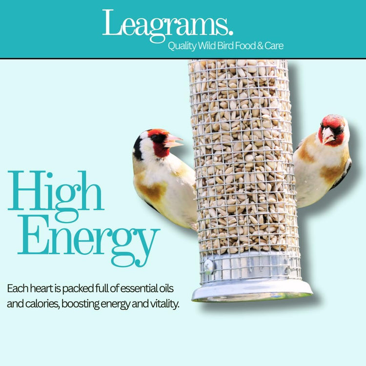 Leagrams Premium Sunflower Hearts (Sunflower Kernels) for Wild Birds – No Mess, High Oil, Bakery Grade High-Energy Feed (20kg) Bag