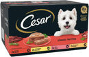 Cesar ClassicTerrine Dog Food https://m.media-amazon.com/images/I/61oCpPBI19L._AC_SL1500_.jpgWet - Mixed Selection in Jelly, 8x150g (Pack of 3)