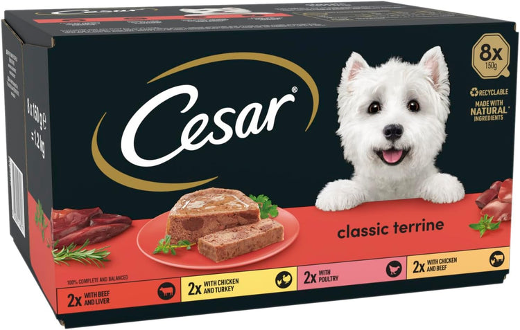Cesar ClassicTerrine Dog Food Wet - Mixed Selection in Jelly, 8x150g (Pack of 3)
