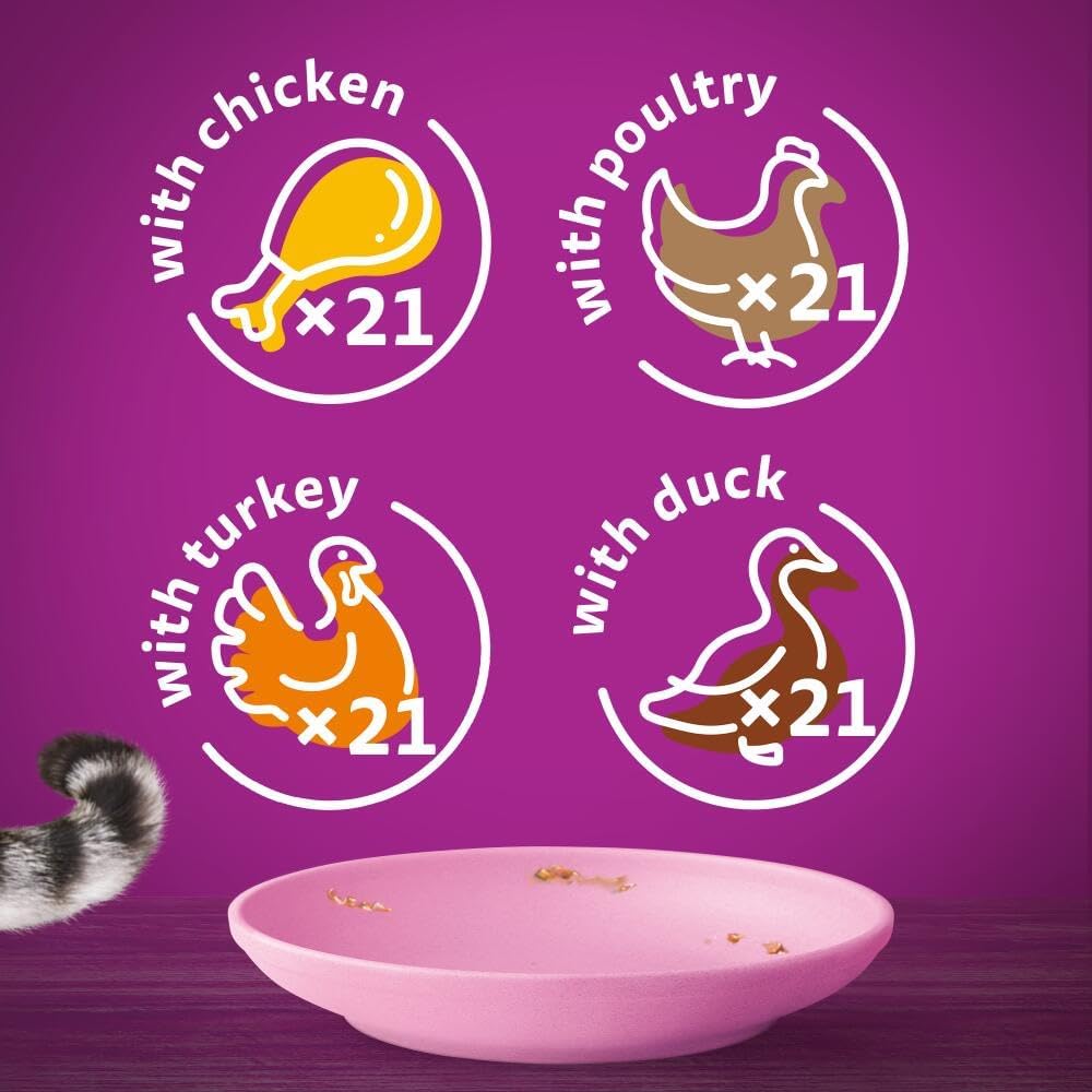 Whiskas Junior Poultry Selection in Jelly | 84 x 85g Megapack