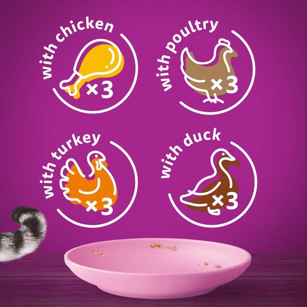 Whiskas Junior Poultry Selection in Jelly | 48 x 85g Megapack (Pack of 4 x 12)