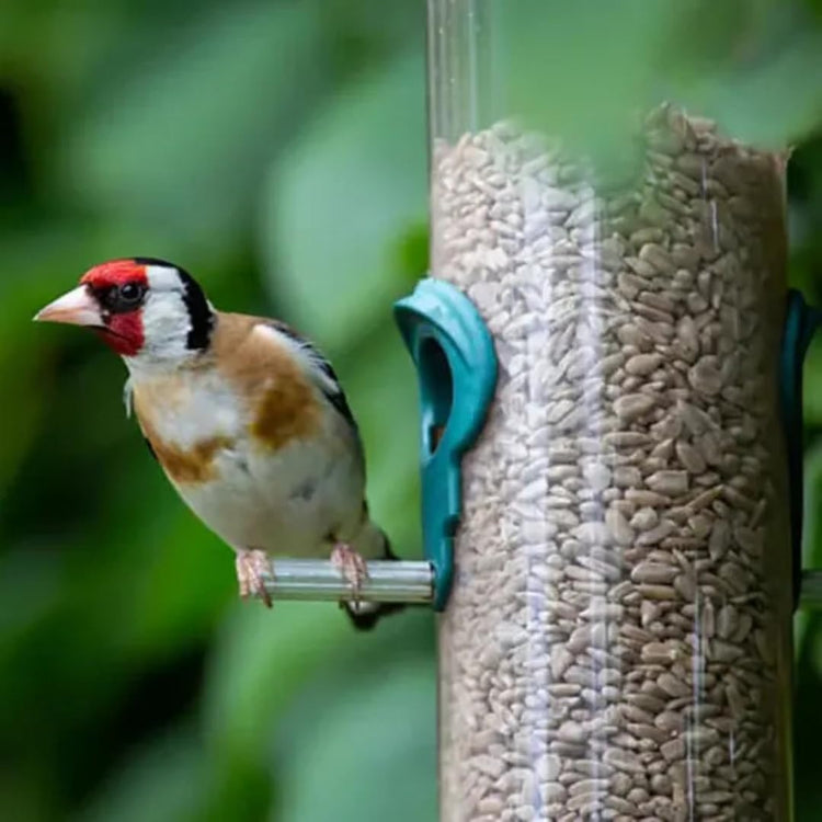 Leagrams Premium Sunflower Hearts (Sunflower Kernels) for Wild Birds – No Mess, High Oil, Bakery Grade High-Energy Feed (20kg) Bag