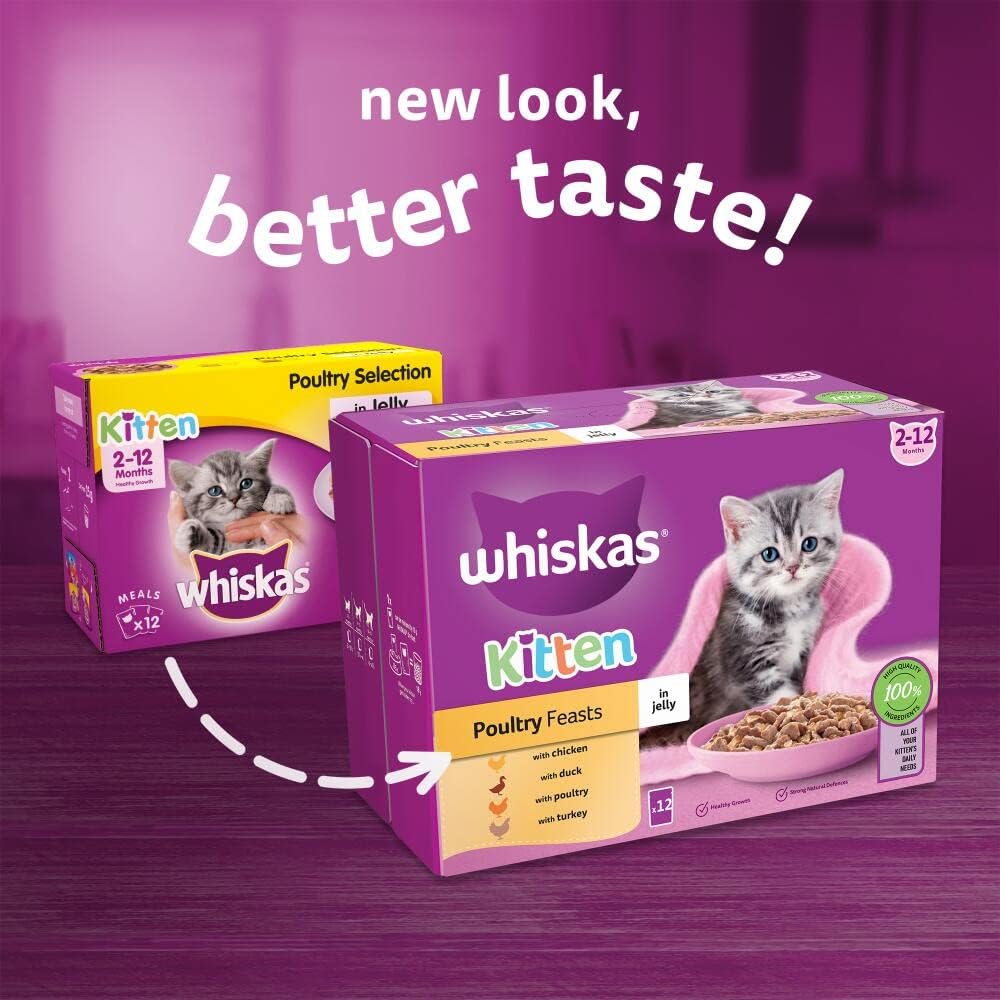 Whiskas Junior Poultry Selection in Jelly | 48 x 85g Megapack (Pack of 4 x 12)