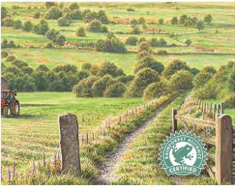 Taylors of Harrogate Yorkshire Tea, 656g