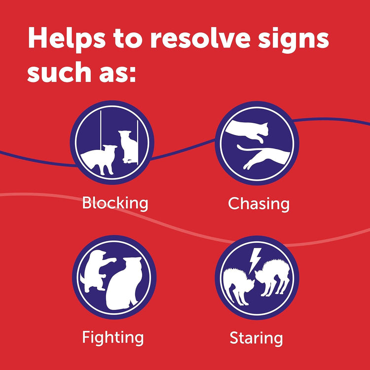 FELIWAY Friends 30 Day Cat Calming Plug In Pheromone Diffuser Starter Kit, 48ml - Helps create harmony and resolve conflict in multi cat households, Veterinary Recommended, Clinically Proven