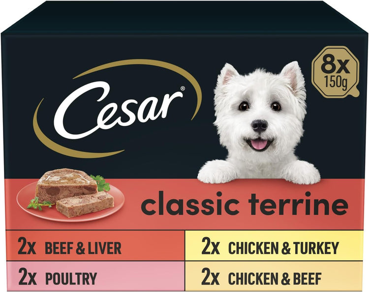 Cesar ClassicTerrine Dog Food Wet - Mixed Selection in Jelly, 8x150g (Pack of 3)