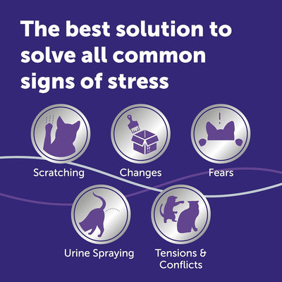 FELIWAY Optimum 30 Day Cat Calming Odourless Refill for Pheromone Diffuser, 48ml - Helps Solve Signs of Stress in Cats & Kittens, Veterinary Recommended, Drug-free, Clinically Proven