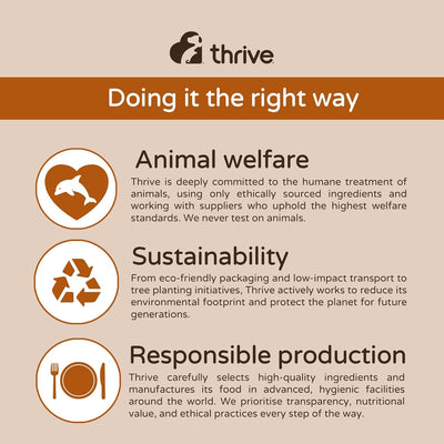 Thrive Cat 100% CHICKEN CAT TREATS MaxiTube 170g