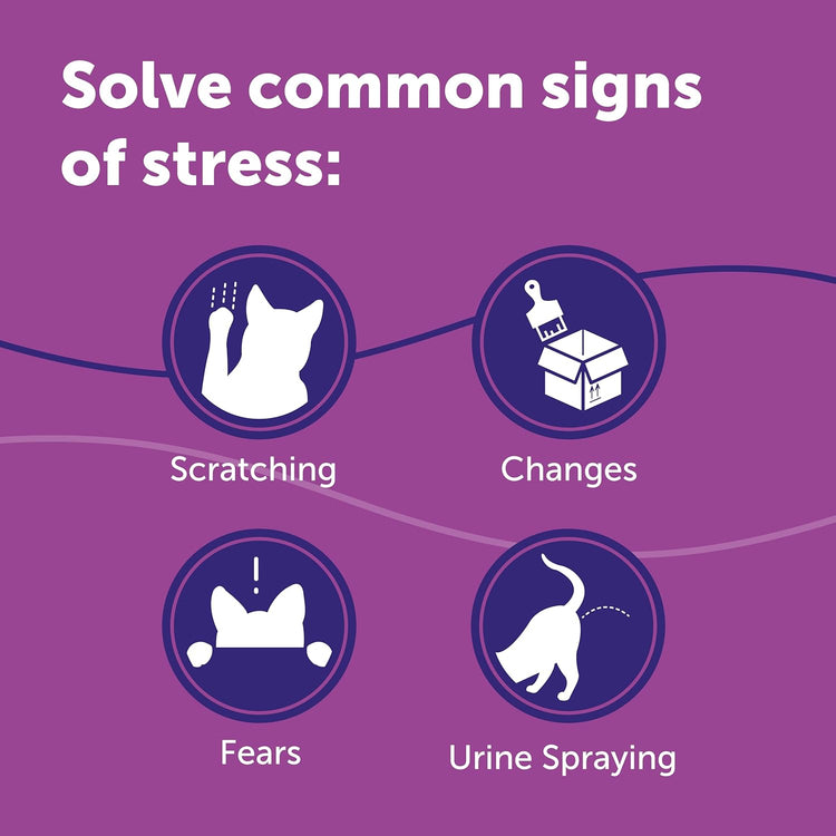 FELIWAY Classic 30 Day Cat Calming Plug In Pheromone Diffuser Starter Kit, 48ml - Helps Solve Common Signs of Stress in Cats & Kittens, Veterinary Recommended, Clinically Proven