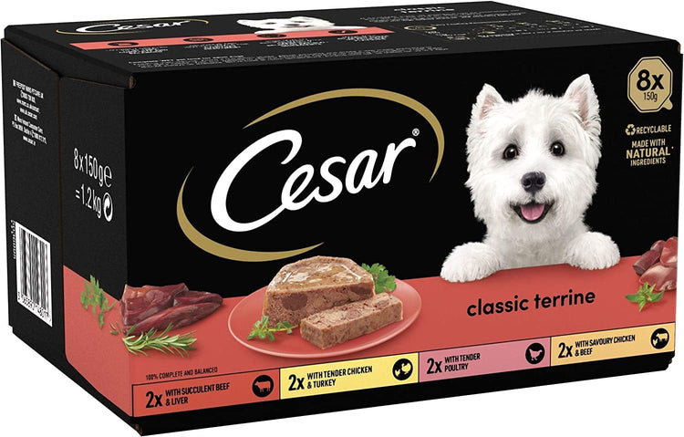 Cesar ClassicTerrine Dog Food Wet - Mixed Selection in Jelly, 8x150g (Pack of 3)
