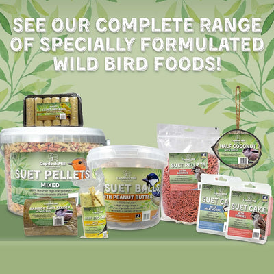 Copdock Mill Wild Bird Seed & Grain Mix 20kg Bag All Year Round High Energy Wild Bird Food 100% Natural Ingredients Including Sunflower Seeds and Peanuts