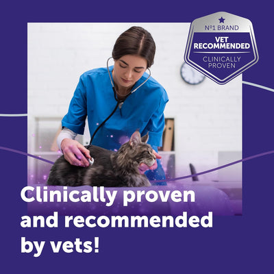 FELIWAY Optimum 30 Day Cat Calming Odourless Refill for Pheromone Diffuser, 48ml - Helps Solve Signs of Stress in Cats & Kittens, Veterinary Recommended, Drug-free, Clinically Proven