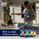 FELIX Mixed Snack Box Cat Treats 810g