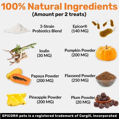 Subscribe & Save NutriPaw Pre, Pro & Postbiotic Digestive Treats For Dogs - Gut Health, Sensitive Tums, Anal Glands, Scooting, Loose Stools, Smelly, Itchy Ears, Great