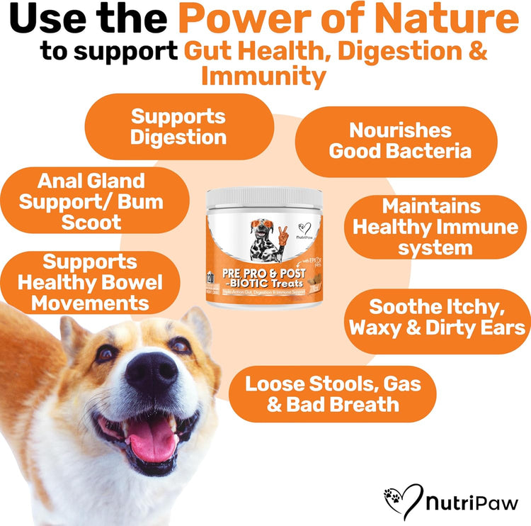 NutriPaw Calming, Probiotic Bundle - Soft Chews For Bum Scooting, Anal Glands, Gut Health, Itchy, Smelly Ears - Reduce Anxiety, Stress, Fear, Barking, Reactivity - Non-Drowsy - Great for all dogs