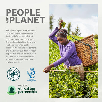 Yorkshire Tea Total 1040 Tea Bags (Pack of 3.25 kg)