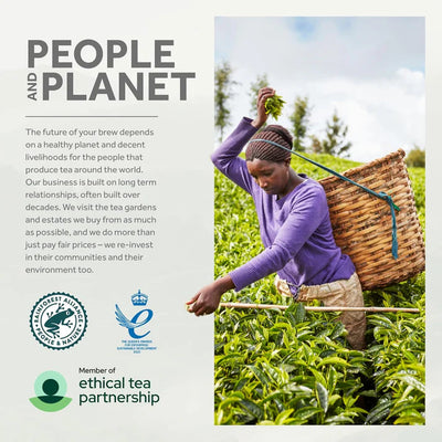 Yorkshire Tea, Total 600 Tea Bags, (Pack of 1.875 kg)