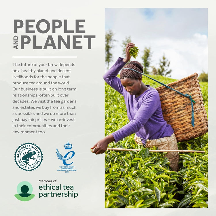 Yorkshire Tea Total 1040 Tea Bags (Pack of 3.25 kg)