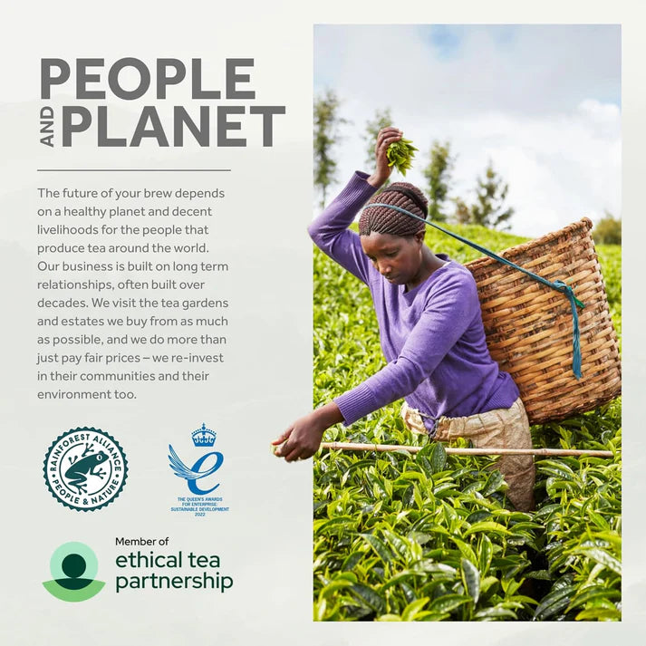 Yorkshire Tea Traditional 1040 Tea Bags 3.25 kg (2 Pack)