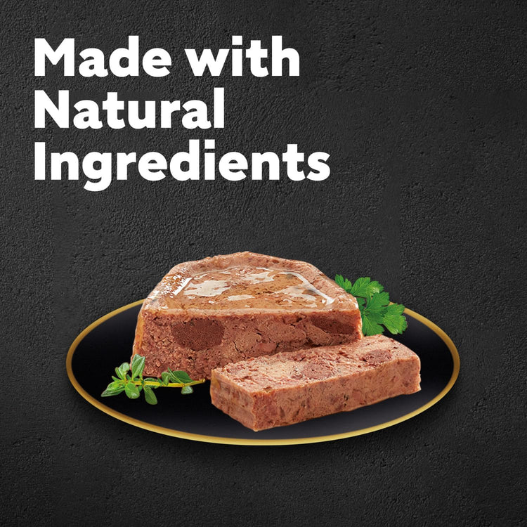 Cesar ClassicTerrine Dog Food https://m.media-amazon.com/images/I/61oCpPBI19L._AC_SL1500_.jpgWet - Mixed Selection in Jelly, 8x150g (Pack of 3)