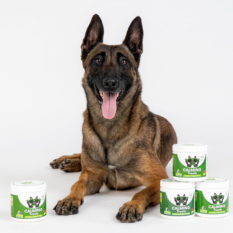 NutriPaw Calming Treats For Dogs - Reduce Stress, Fear, Separation, Barking, Hyperactivity, Reactivity, Aggression, Travel - Calm without Drowsiness dogs