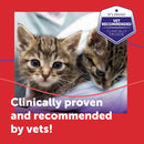 FELIWAY Friends 30 Day Cat Calming Plug In Pheromone Diffuser Starter Kit, 48ml - Helps create harmony and resolve conflict in multi cat households, Veterinary Recommended, Clinically Proven