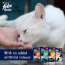 FELIX Mixed Snack Box Cat Treats 810g