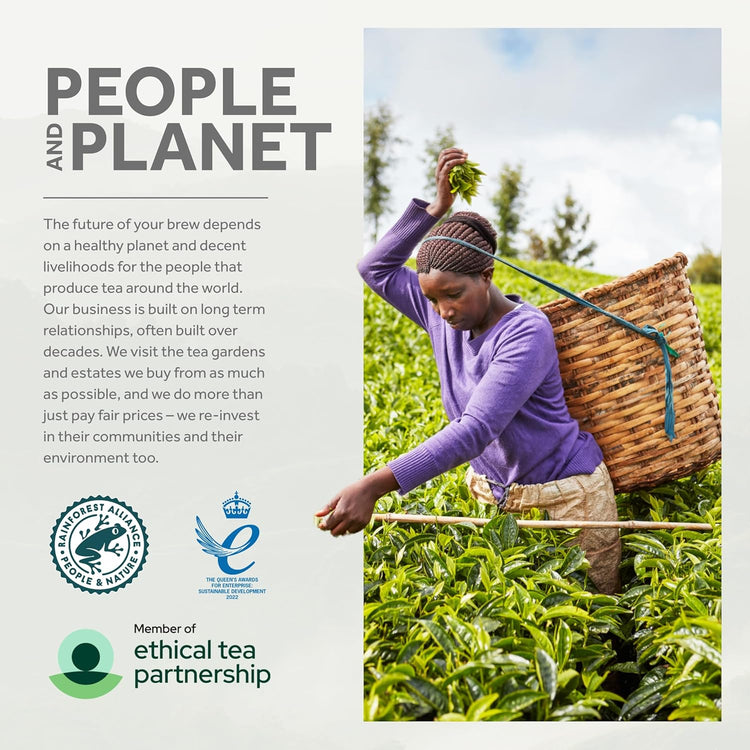 Yorkshire Tea, 5 Boxes of 40 Tea Bags, (Total 200 Bags)