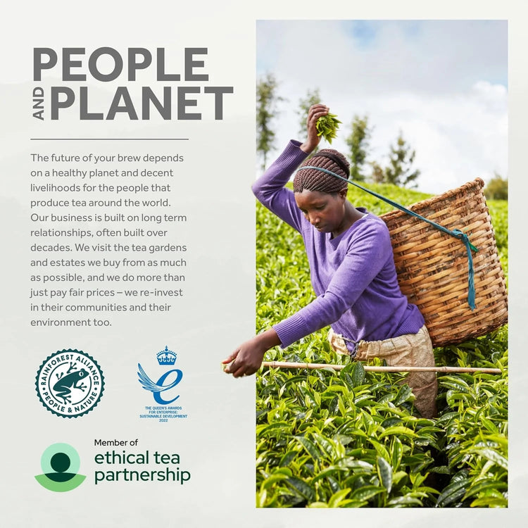 Yorkshire Tea Caramelised Biscuit Brew Flavoured Tea Bags, 4 Boxes of 40 Tea Bags (Total 160 Bags)