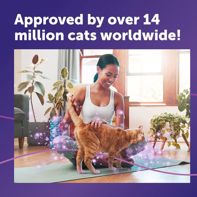 FELIWAY Classic 30 Day Cat Calming Plug In Pheromone Diffuser Starter Kit, 48ml - Helps Solve Common Signs of Stress in Cats & Kittens, Veterinary Recommended, Clinically Proven