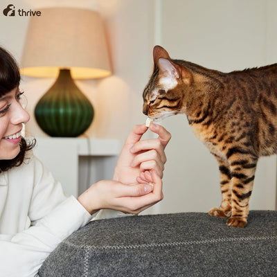 Thrive Cat 100% CHICKEN CAT TREATS MaxiTube 170g